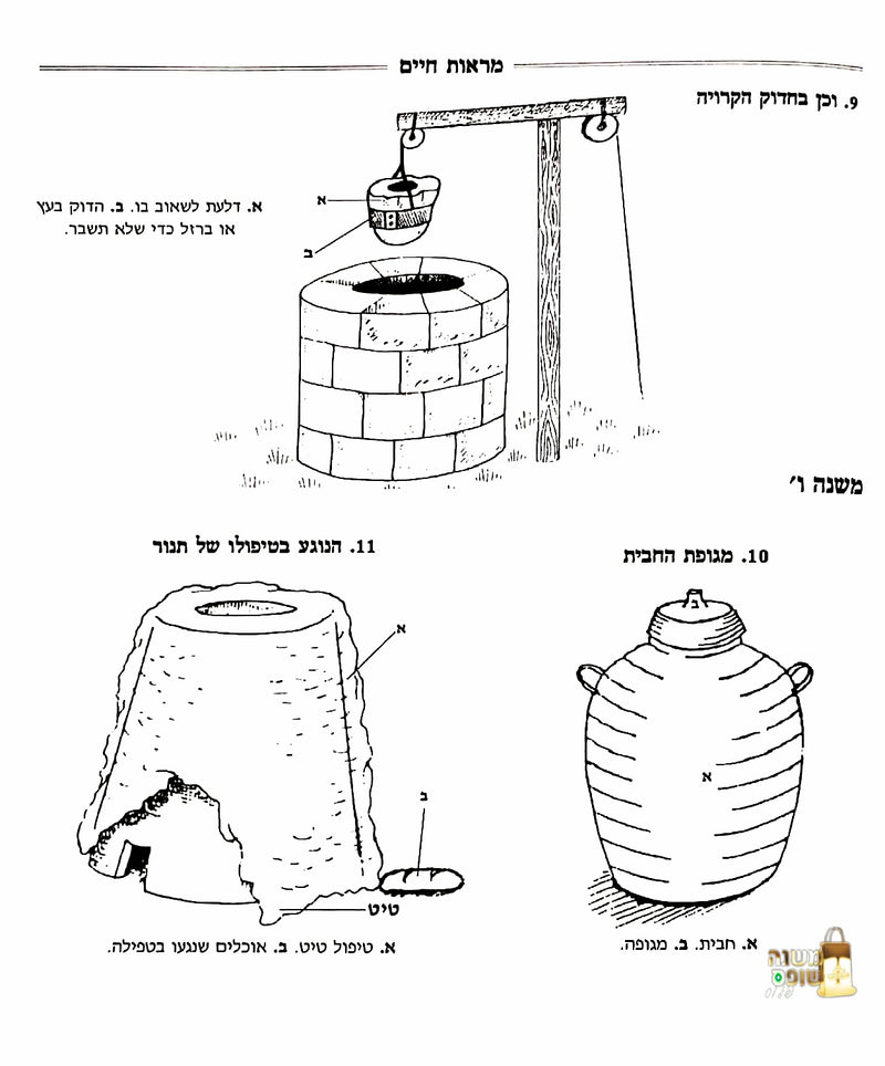 מראות חיים מסכת פרה משניות מאוירות ומבוארות / משניות מבוארות בתוספת ציורים מרהיבים